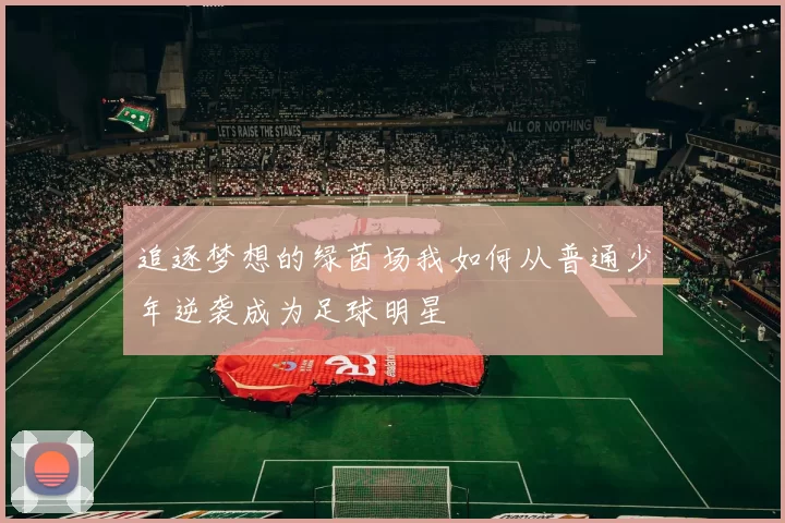 追逐梦想的绿茵场我如何从普通少年逆袭成为足球明星