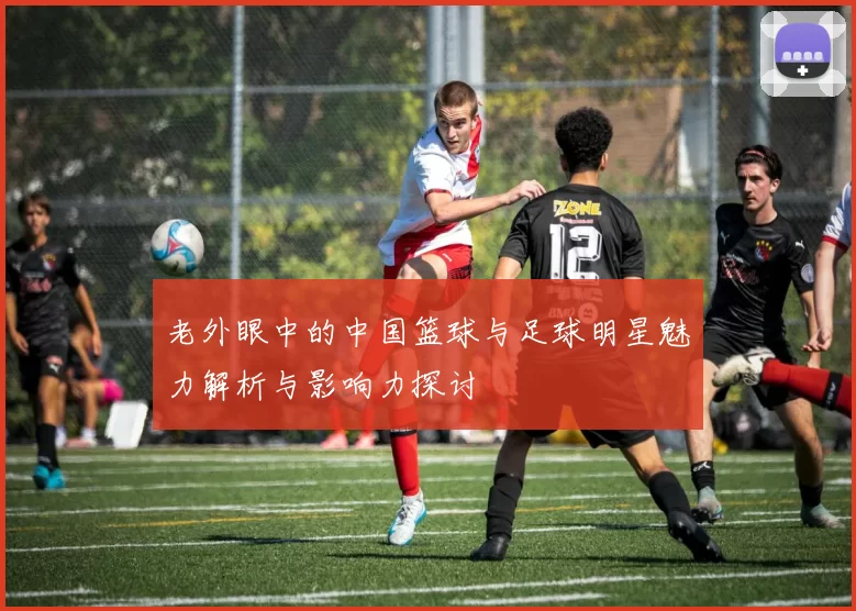 老外眼中的中国篮球与足球明星魅力解析与影响力探讨