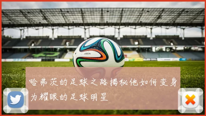 哈弗茨的足球之路揭秘他如何变身为耀眼的足球明星