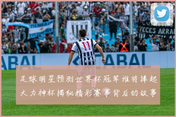 足球明星预测世界杯冠军谁将捧起大力神杯揭秘精彩赛事背后的故事