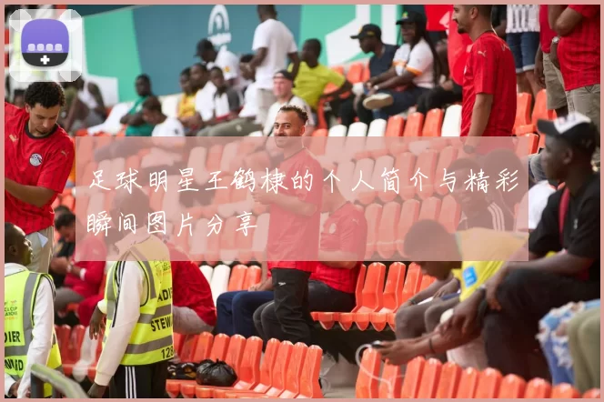 足球明星王鹤棣的个人简介与精彩瞬间图片分享