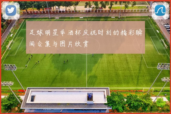 足球明星举酒杯庆祝时刻的精彩瞬间合集与图片欣赏