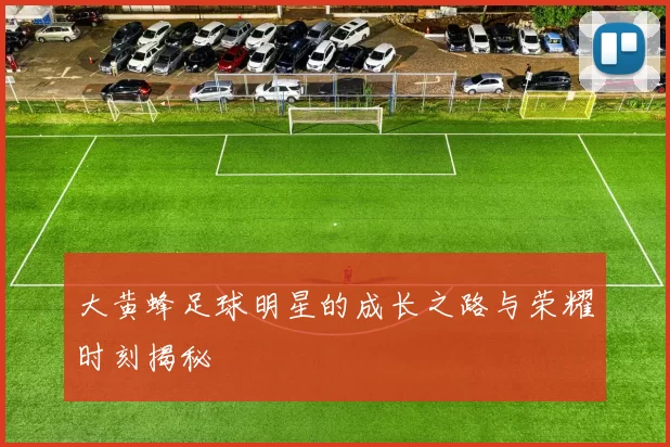 大黄蜂足球明星的成长之路与荣耀时刻揭秘