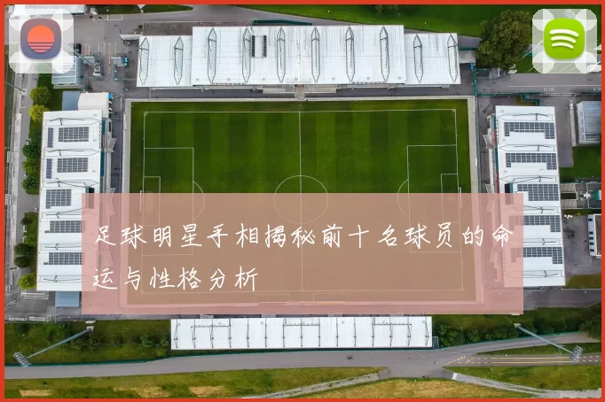 足球明星手相揭秘前十名球员的命运与性格分析